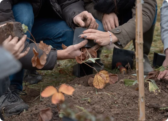 Mettre les mains dans la terre et planter diverses plantes