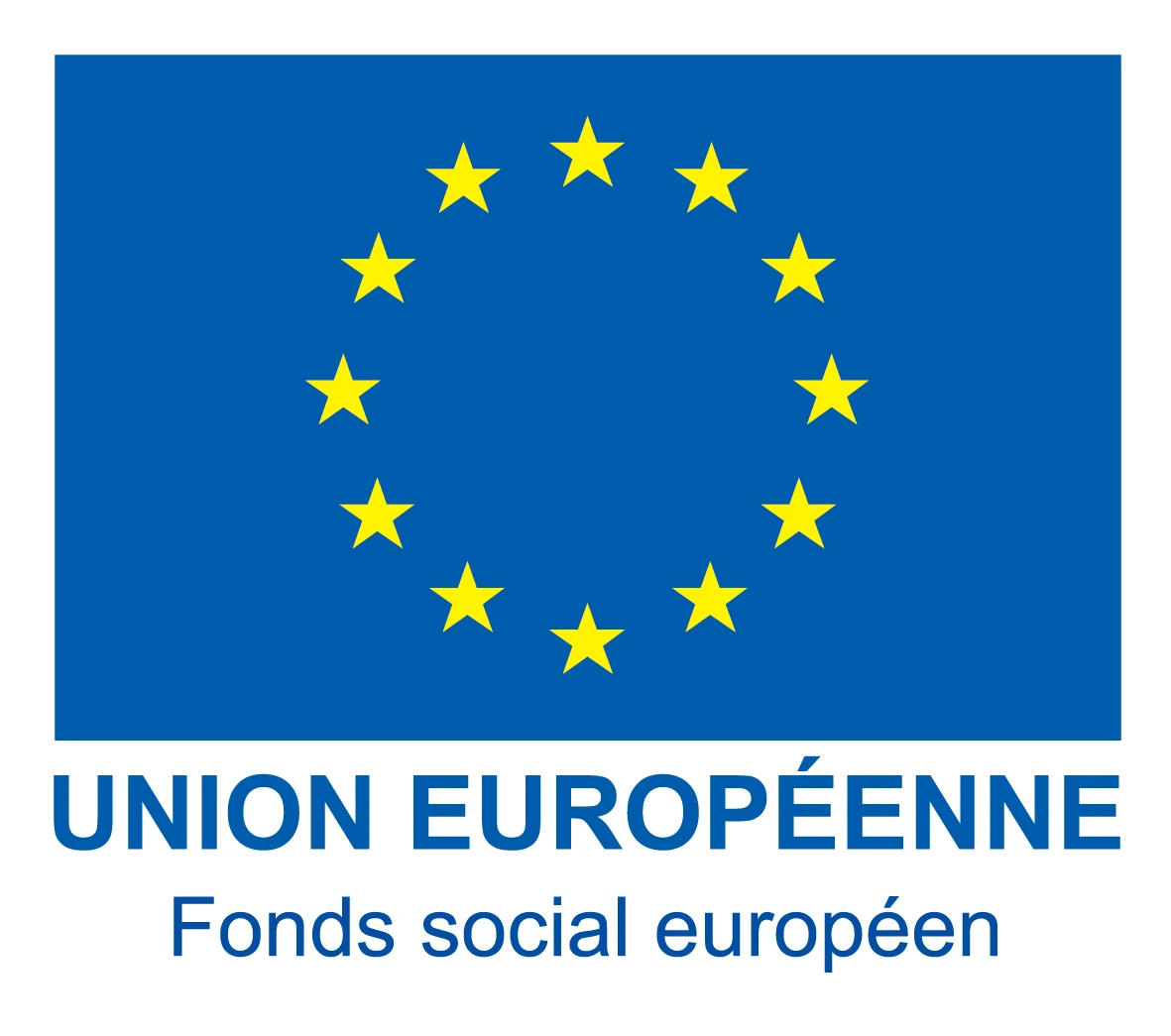 3-Logo-UE-FSE-couleur