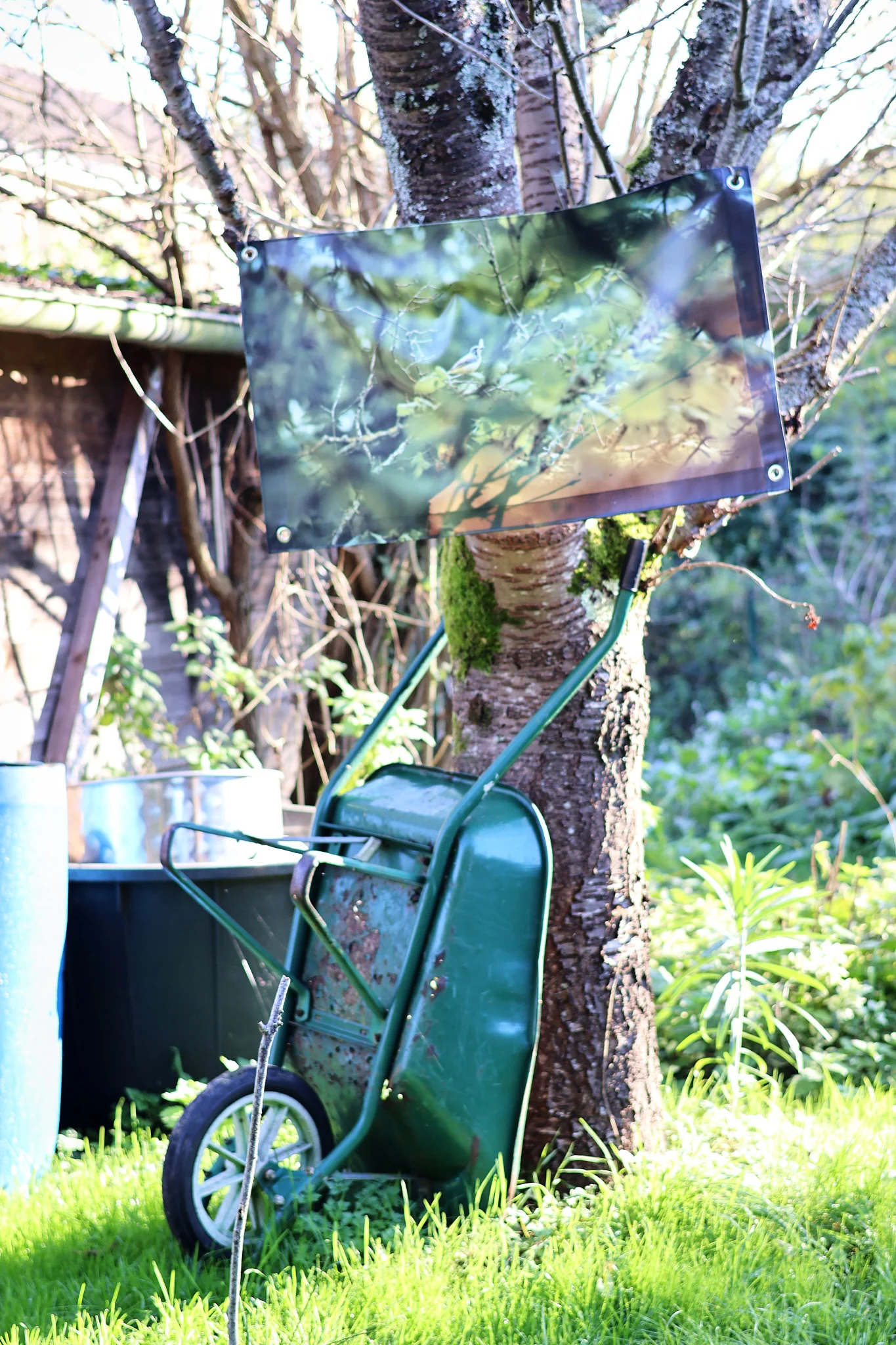 IMG_7995 Web