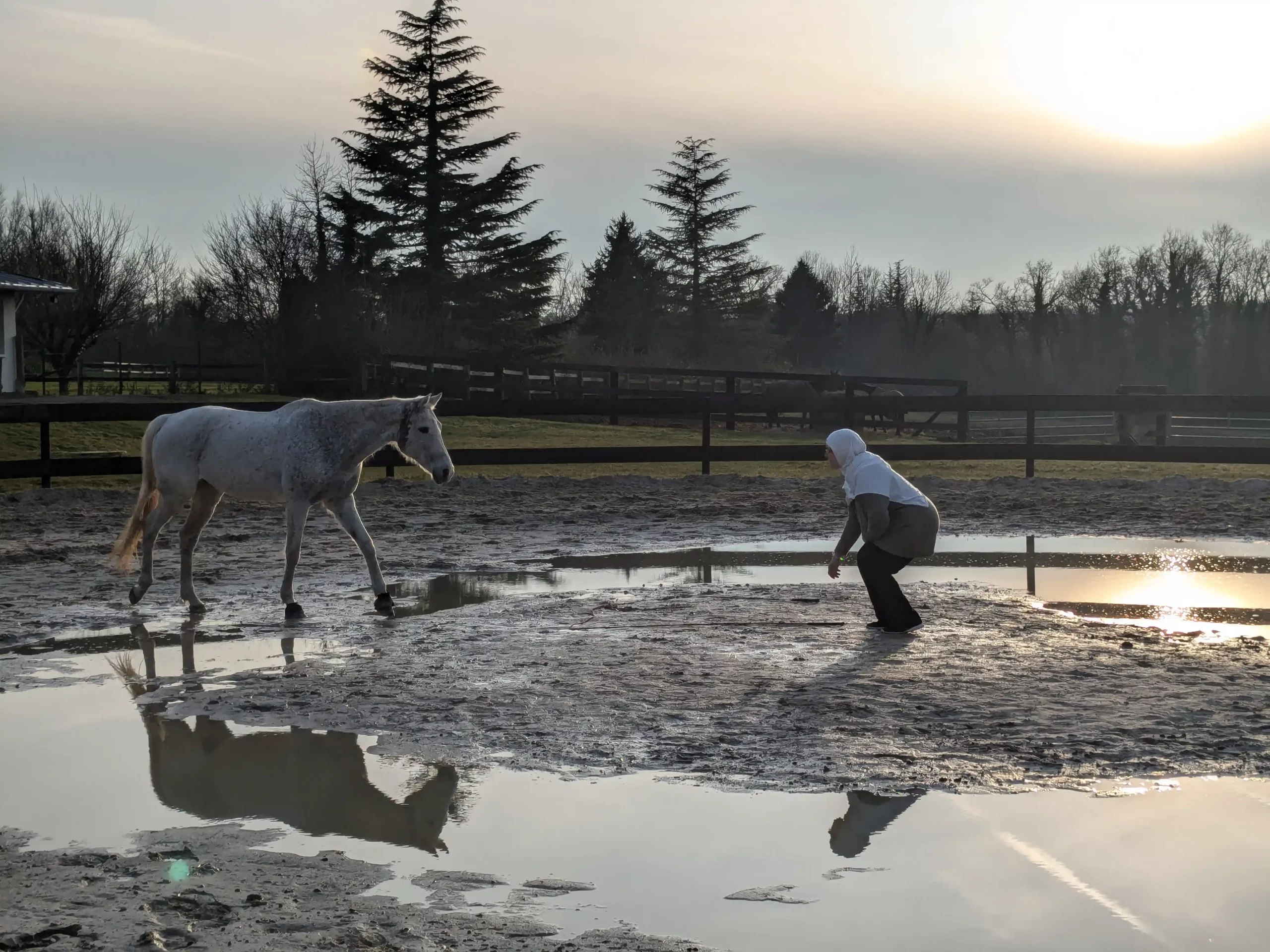 PXL_20250218_161934834.MP