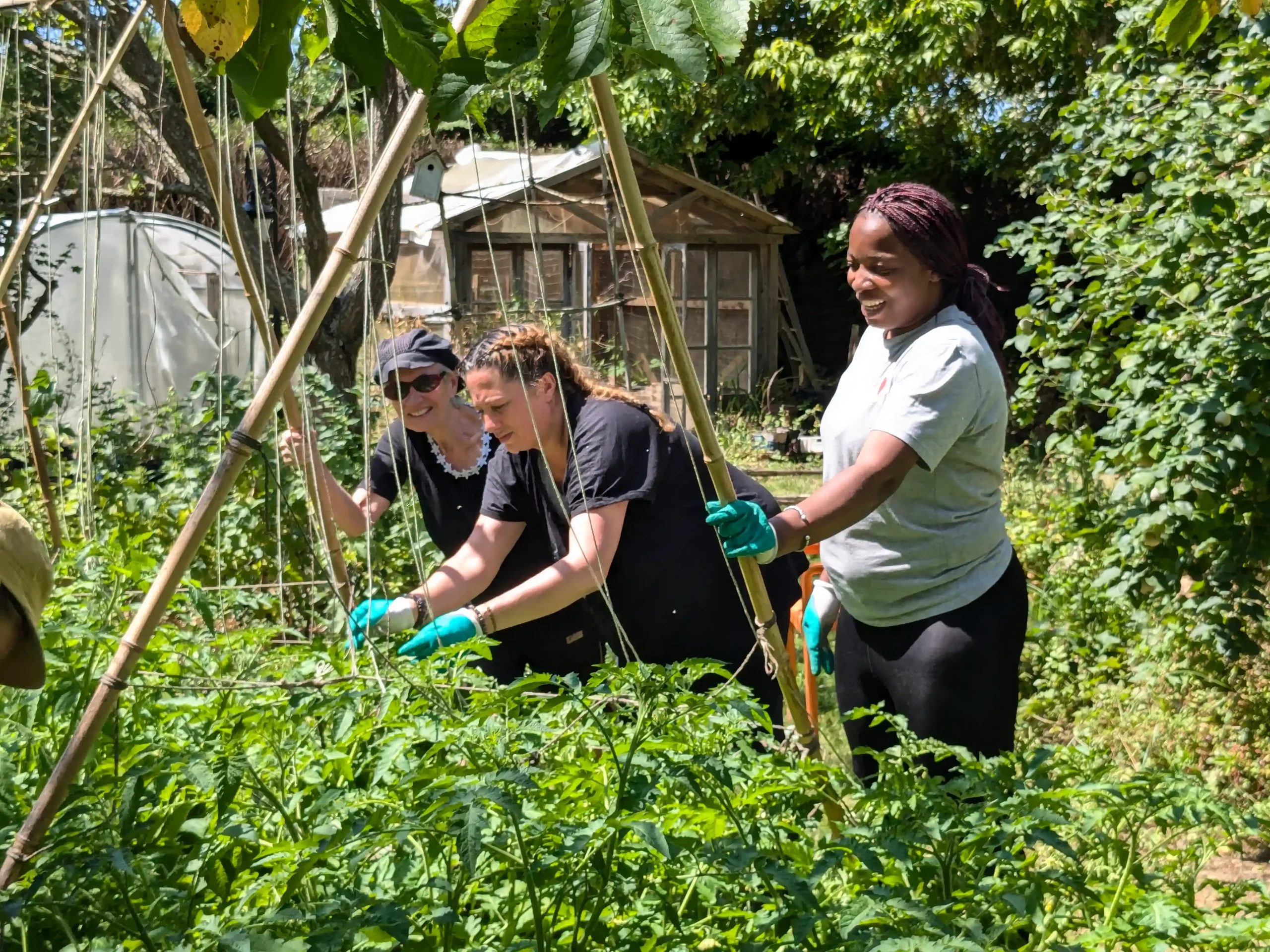 PXL_20250709_130854285